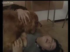 An adorable Asian 18-year-old is engaging in animal sex.